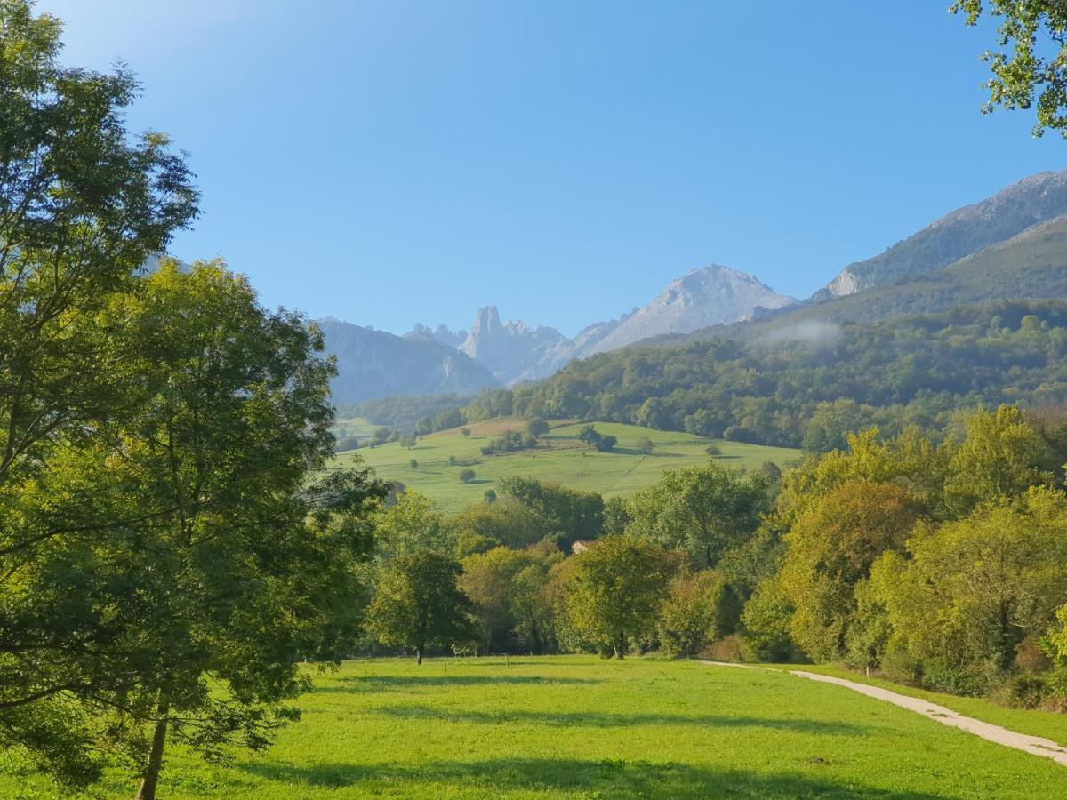 La Estancia De Cangas - Amplio Piso Con Garaje Onís Dış mekan fotoğraf