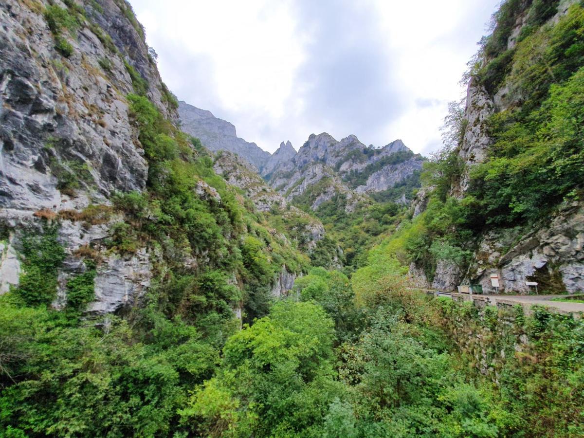 La Estancia De Cangas - Amplio Piso Con Garaje Onís Dış mekan fotoğraf